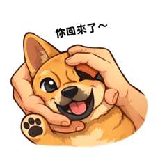 圓仔每天的日常