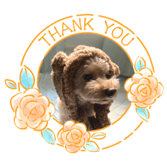 yumiko_20251223125801