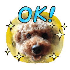 melon_20251223125810