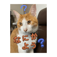 Daimaru21_20251223125451