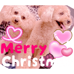 Mochioba_20251223150306