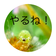 soucho_20251220232526