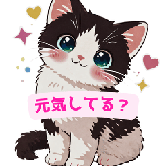 Daily Life of a Fluffy Kitty