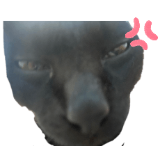 Nangyai_20251222190623