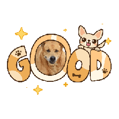 panteen_20251223104224