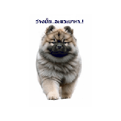 Pooriphat Suksaweng_20251223124518