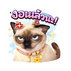 pumpuy shop_20251222213133