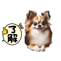 lalachan_20251223154924