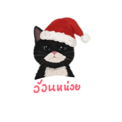 Wanvadee_20251222200948