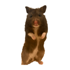 Milin_20251223132637