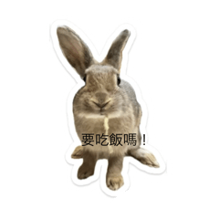 灰嘟嘟與麻糬貼圖