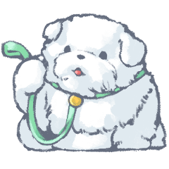 A Bouncy Little White Dog