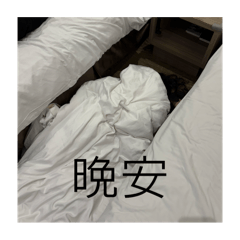 不日常的日常用圖