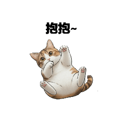 miffy的日常