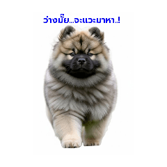 Pooriphat Suksaweng_20251223031333