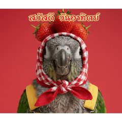 MaaM V.A._20251223070620