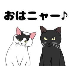 YukiDango_20251223142608