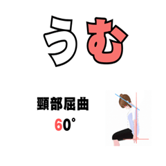 ROM Range Of Motion 2