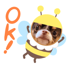 NtthA_20251222233736