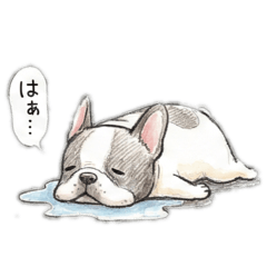 maiko_20251223125719