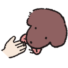 San-chan the Lick-Happy Dog