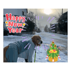 ASLAN ISAO_20251223134500