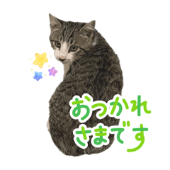 Rchan_20251223140122