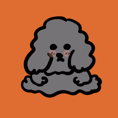 【１年中】ず～っと使えるトイプー