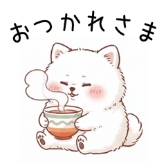 Fluffy White Pomeranian Daily