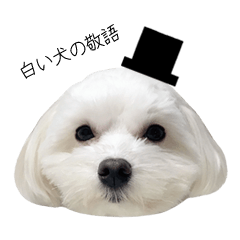 White dog honorific.