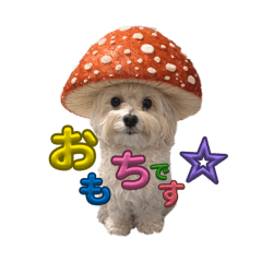 omochi_20251223150105