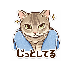 うちのにゃんファミリー