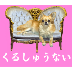 haaaa!_20251221160947