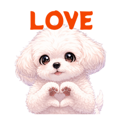 白トイプーちゃんの普段使い