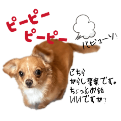 sayasuke_20251223152411