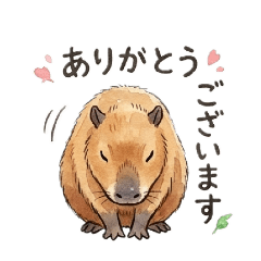 カピバラのパラちゃん