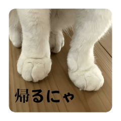 koni-_20251223153909