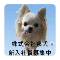 sh1n1_20251221184056