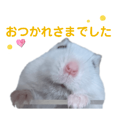 hanpen_20251221173026