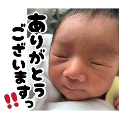 Koto_20251221191529