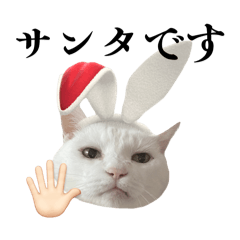 Kotomi_20251221191312