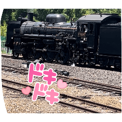 junior toritetu_20251221192513