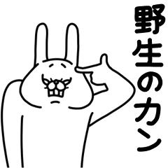 全力うさぎ一生使える編