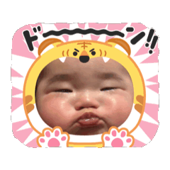 shukun_20251223135624