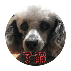 koharu_20251223160051