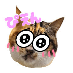 Mohechan_20251223154427