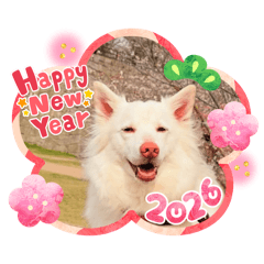 Michiyo_20251223171352