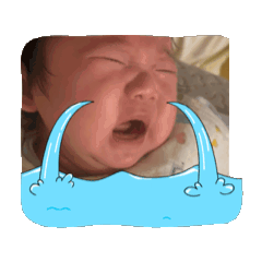 Donburi_20251224095212