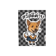 panteen_20251223165246