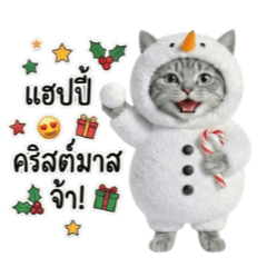 สโนว์เหมียวผู้น่ารัก